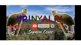 Download Lagu Lagu Papua - URINYAI RI (SEPMAN 'ARFAK STAR MKW) MP3