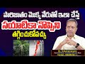 Subramanyam About Sciatica: పారిజాతం మొక్క వేరుతో ఇలా చేస్తే సయాటికా నొప్పిని తగ్గించుకోవచ్చు