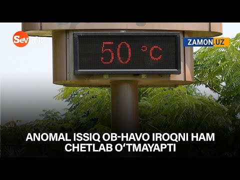 Video: Issiq ob-havo xoplari - 9-zona bog'lari uchun hops o'simliklarining navlari