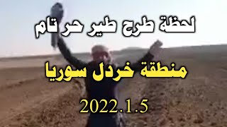 لحظة طرح طير حر تام في منطقة خردل سوريا 2022.1.5