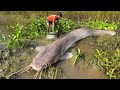 Unique Fishing.  Best Fish Catching.  Best Fishing Video 2021. Big Monsters Fish Catch Big Hole.