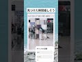 見つけた時に大喜び#面白い #おもしろ #tiktok #Twitter
