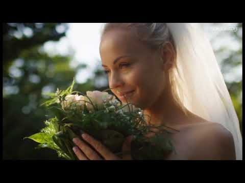 ქალთა მიმართ ძალადობის აღმოფხვრის საერთაშორისო დღე