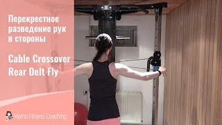 Cable Crossover Rear Delt Fly