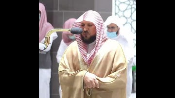 تلاوة الشيخ ماهر المعيقلي ((سورة ال عمران))