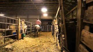 BOHorses8-23-11 360.MP4
