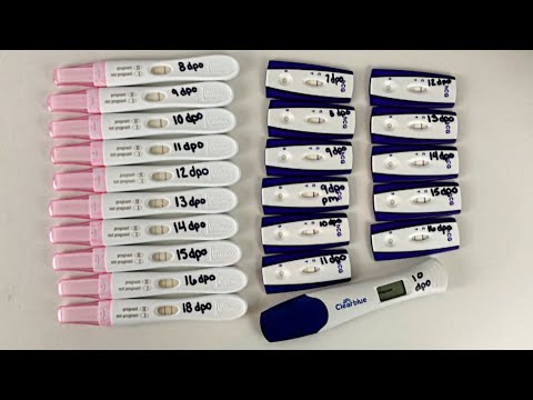 First Response Pregnancy Accuracy Chart