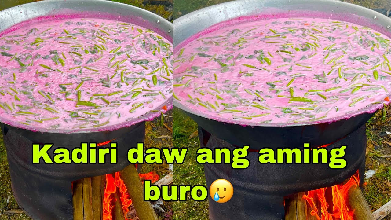 Burong kanin at isda sa talim island/TALIM ISLANDER