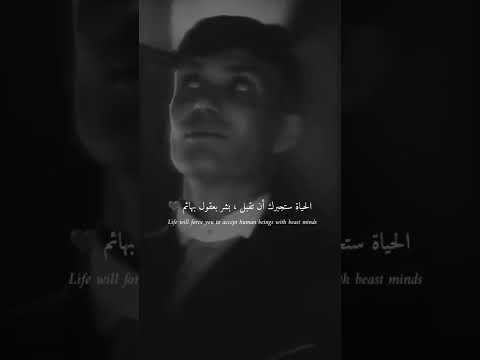 تصميم عبارات فيديو توماس شيلبي  تصميم عبارات فيديو توماس شيلبي