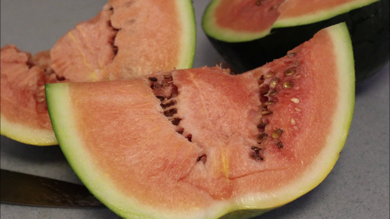 What does the perfect watermelon look like? - YouTube