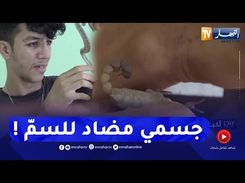 سيدي بلعباس ينام مع الأفاعي ويلاعب العقارب الشاب محمد ناسل يهوى ترويض الحيوانات