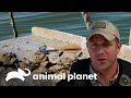 Descubriendo a recolectores de ostras que infringen la ley | Guardianes de Texas | Animal Planet
