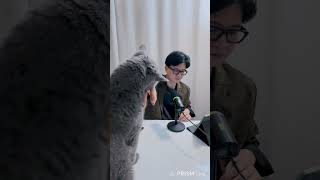 탄아 그러면 안돼. @한동훈입니다  #한동훈 #라방 #탄이 #양이