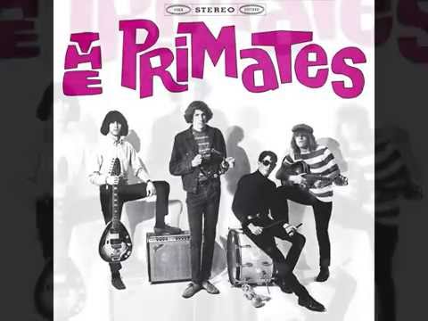 THE PRIMATES - I Ain't Like You