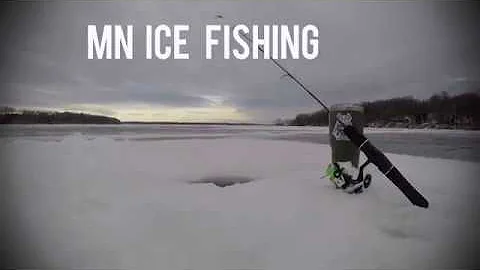 ice fishing vs muskrat
