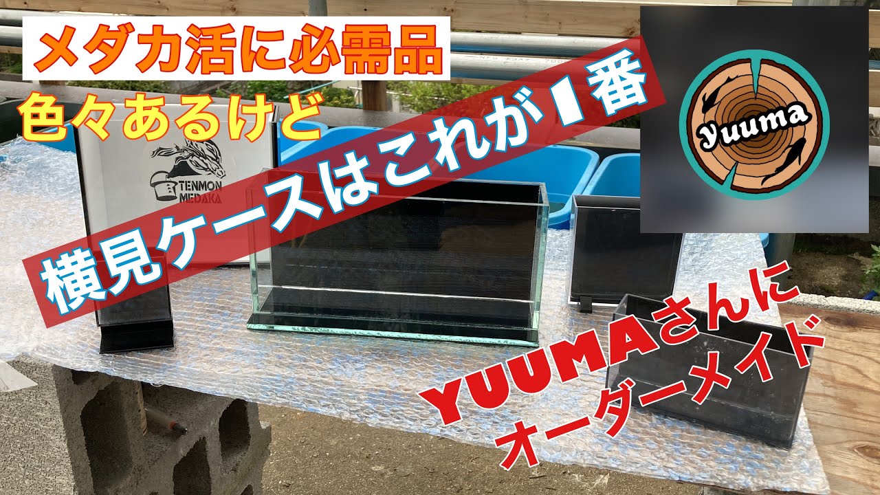 メダカ)メダカ飼育を楽しむアイテム。ガラス容器オススメ！！ - YouTube