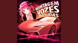 MONTAGEM VOZES PROIBIDAS (Slowed) - SGL Z, DJ KYZAX, Isxbzl