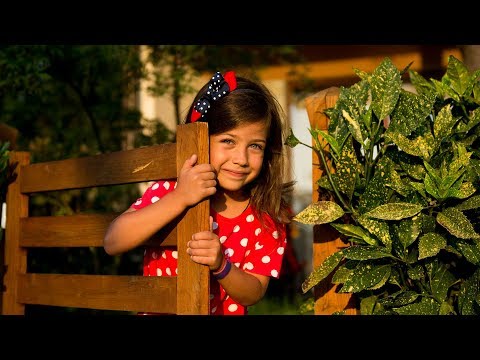 ემილია სასტუმრო ოაზისში უყურებს მზის ჩასვლას