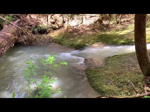 Wolf Creek and Falls May 1, 2022