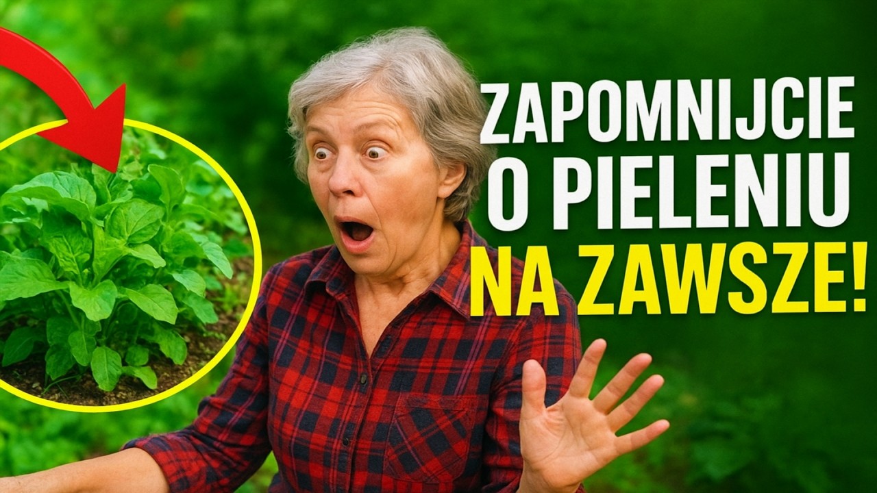 Zapomnijcie o pieleniu na zawsze! Te zabójcze rośliny oczyszczą wam ogród lepiej niż najlepsza chem