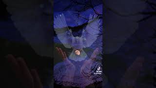 Gözümü Kör Eden Kadın Mix Resimi