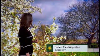Weather images of the day - Spring has started (UK) - BBC & ITV - 9th March 2022