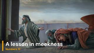 A lesson in meekness | Numbers 12