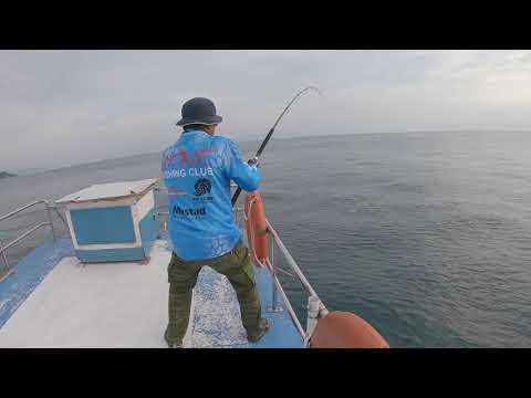 Savage Gear Panic Popper GT Fishing @Km Insane Merak Indonesia