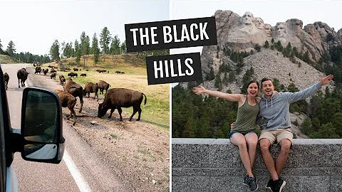 Visiting Mount Rushmore, Wildlife Loop, & the BEST...
