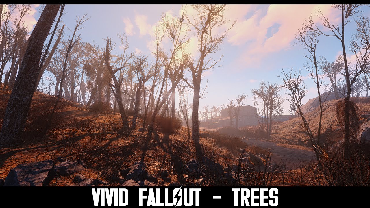 Vivid fallout all in one. Fallout деревья без листвы.