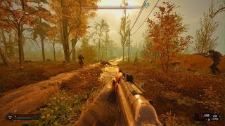 Stalker 2 Pseudodog Ambush