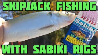 Skipjack Fishing - How to Catch Skipjack Herring with Sabiki Rig - Catch n Freeze Best Catfish Bait