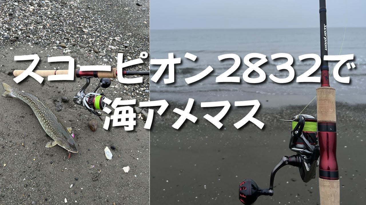 No.356 スコーピオン2832で海アメマス釣り 稚内の釣り人こーすけ(2023.6.12)