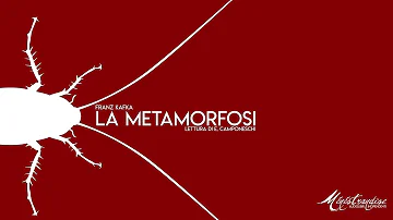 Qual è il messaggio della Metamorfosi di Kafka?