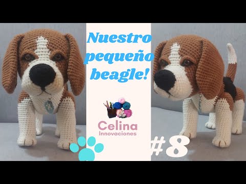 Video: Bir Beagle'a Söylemek İstediğiniz 15 Şey