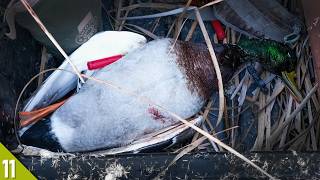 Solo Duck Hunt in a NEW Spot | 28 Gauge Duck Hunting