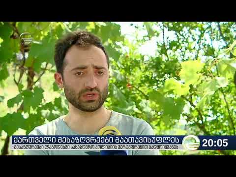 ქართველი მესაზღვრეები გაათავისუფლეს