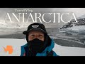 Antarctica expedition part 3 ice calving whales penguins seals  stepping onto the 7th continent