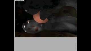 Cat Speedpaint Request