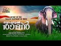 THECHIKOTTUKAVU RAMACHANDRAN | THE TALLEST ELEPHANT OF INDIA | HIS LIFE & UNTOLD STORIES