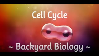 Cell Cycle ~ Backyard Biology