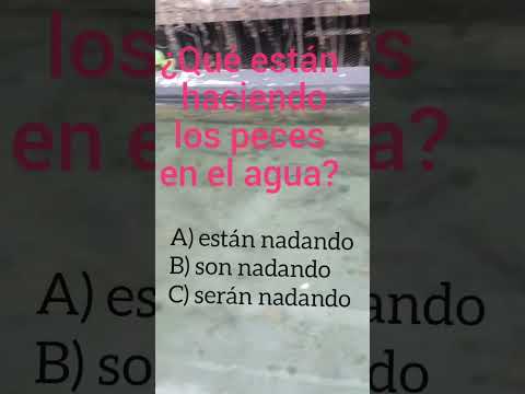 El presente Progresivo