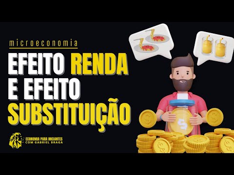 EFEITO RENDA E SUBSTITUIÇÃO | O que são | Microeconomia
