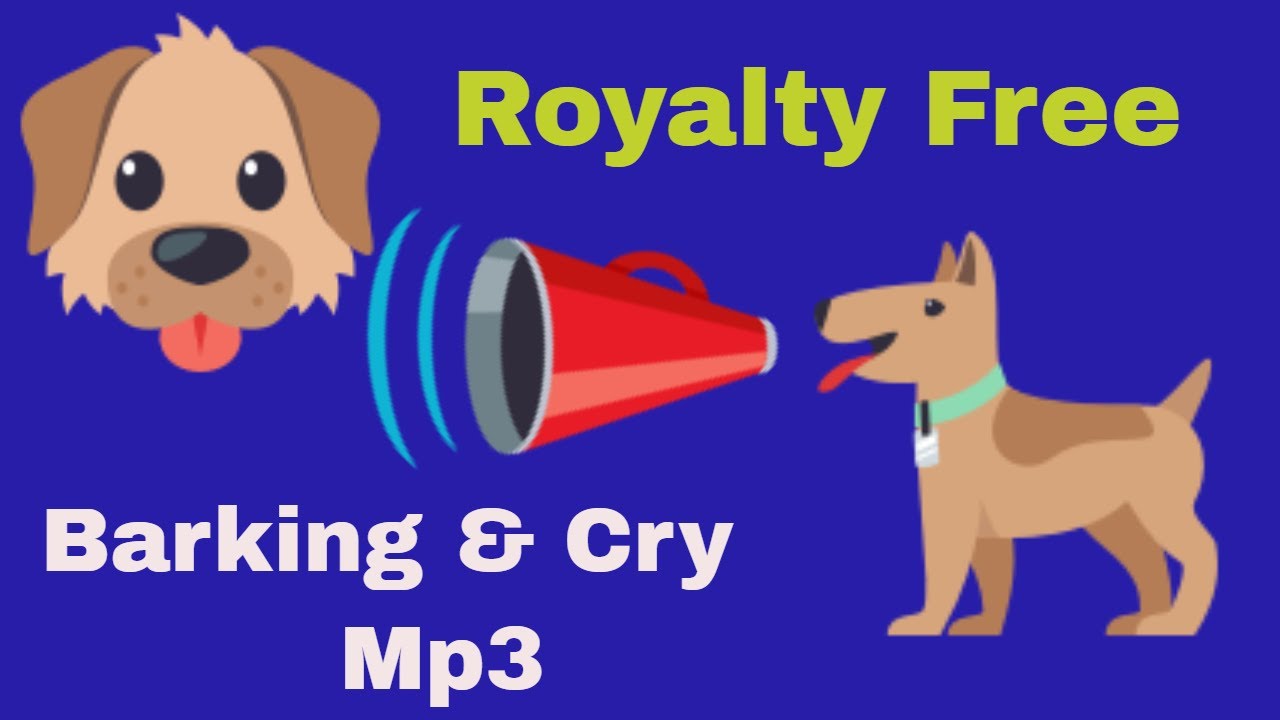Free Audio Sound of Dog Crying and Barking MP3 - YouTube