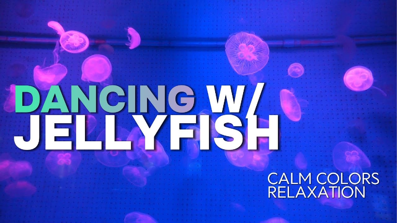 Dancing with Jellyfish (2 minutes) | Calm Colors & Deep Relaxation | Loop for Meditation