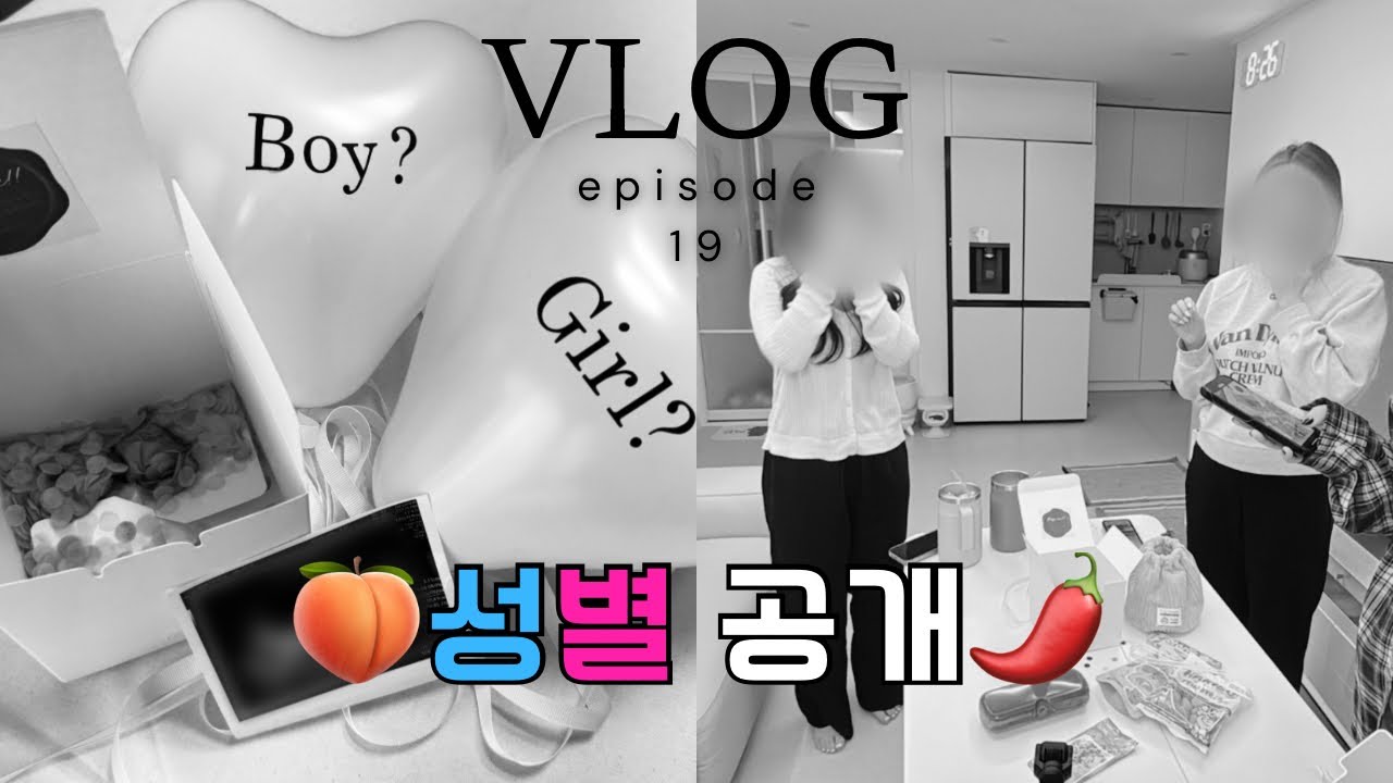 Vlogㅣ젠더리빌파티, 아기 성별은? 아들? 딸?ㅣ임신중기 기록ㅣ2차 기형아 검사 결과, 내가 고위험군산모라고...?ㅣ임산부 브이로그