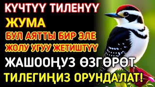 картинка: Жума күнүндөгү ЭҢ КҮЧТҮҮ ДУА! Бардык каалоолор кабыл болот! БАЙЛЫК, ПАЙДА ЖАНА БААКЫТ
