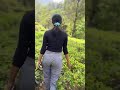 Places You Should Not Miss In Kausani Places You Should Not Miss In Kausani
