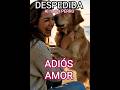 DESPEDIDA al mejor PERRO, ADIÓS a mi MEJOR AMIGO, CANCION para DESPEDIRLO #perros #gatos #mascotas