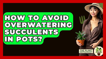How To Avoid Overwatering Succulents In Pots? - The Plant Enthusiast